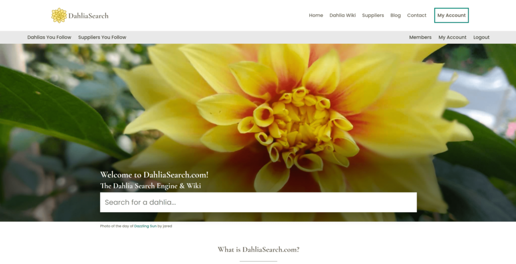 Screenshot of the DahliaSearch homepage in early August, 2022.