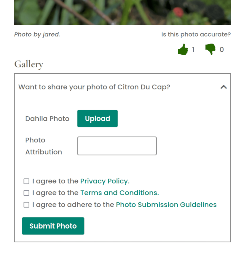Screenshot of the contribute photo form for a dahlia.